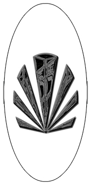 DG5000-602-BK-WT Black Sunburst White